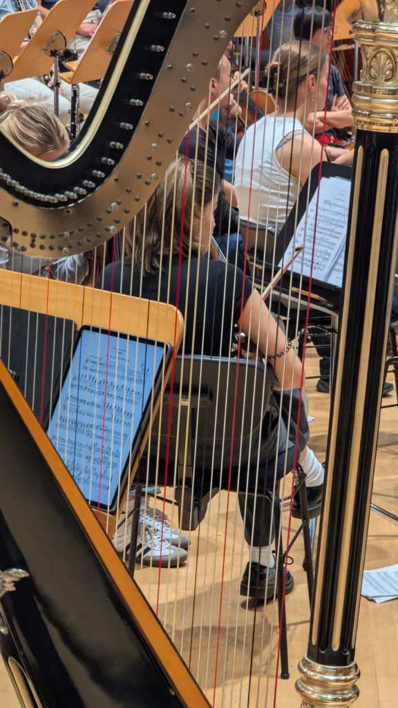 Süddeutsche Philharmonie Esslingen | Herbst 2025 Ravel & Friends © Andreas Gömmel