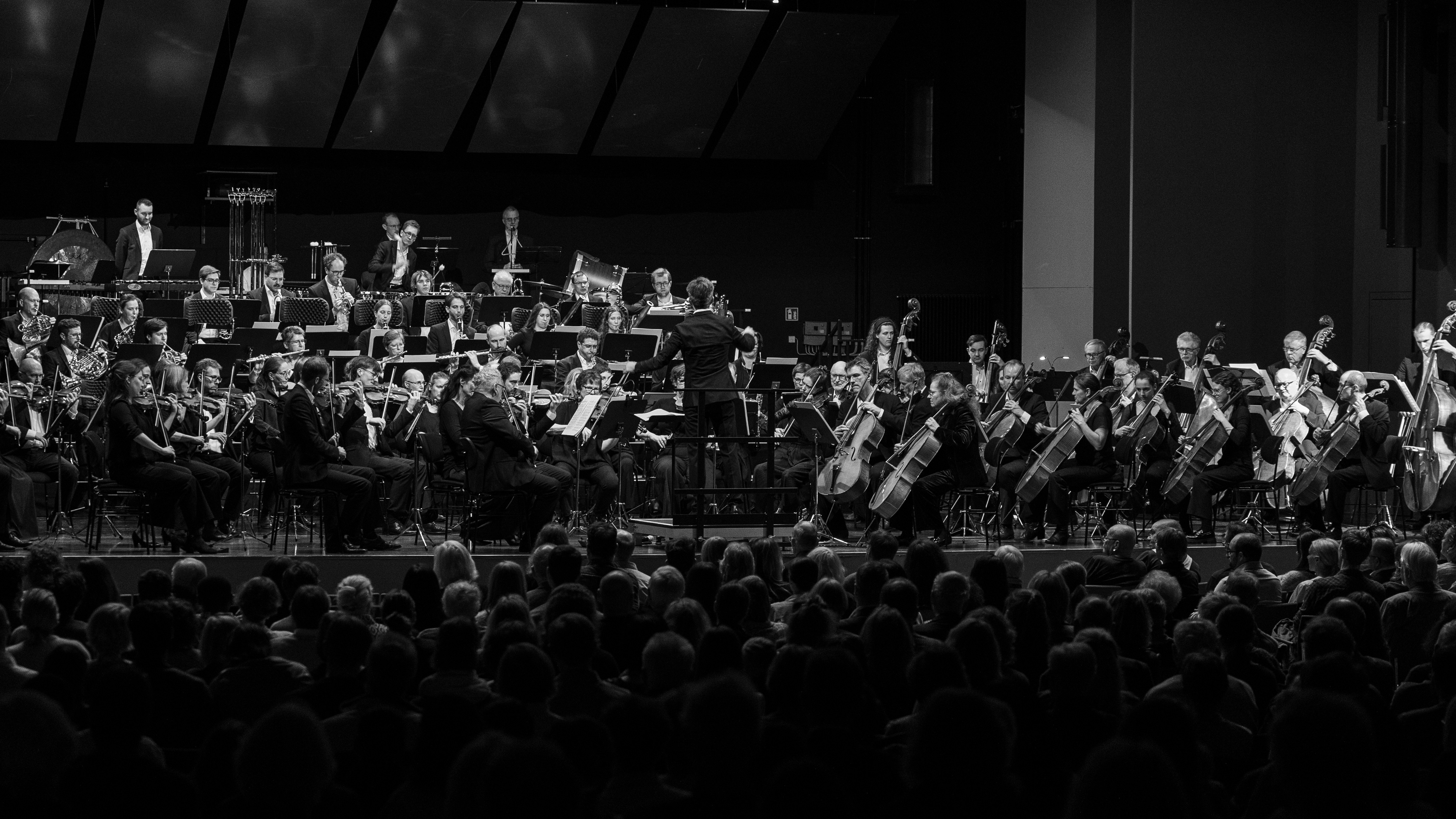 Süddeutsche Philharmonie Esslingen | 2026 Lovestories © Simon Hofbauer